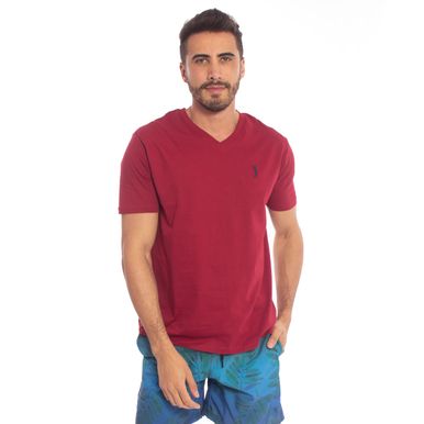 camiseta-aleatory-masculina-summer-2018-lisa-meia-malha-gola-v-modelo-1- camiseta-aleatory-masculina-summer-2018-lisa-meia-malha-gola-v-modelo-1-